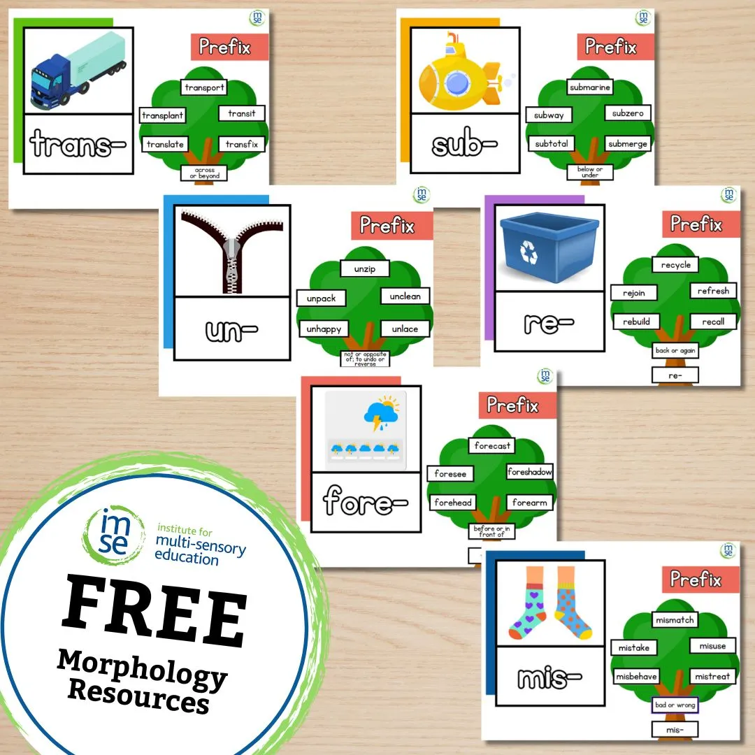 Morphology+ Prefix Classroom Posters