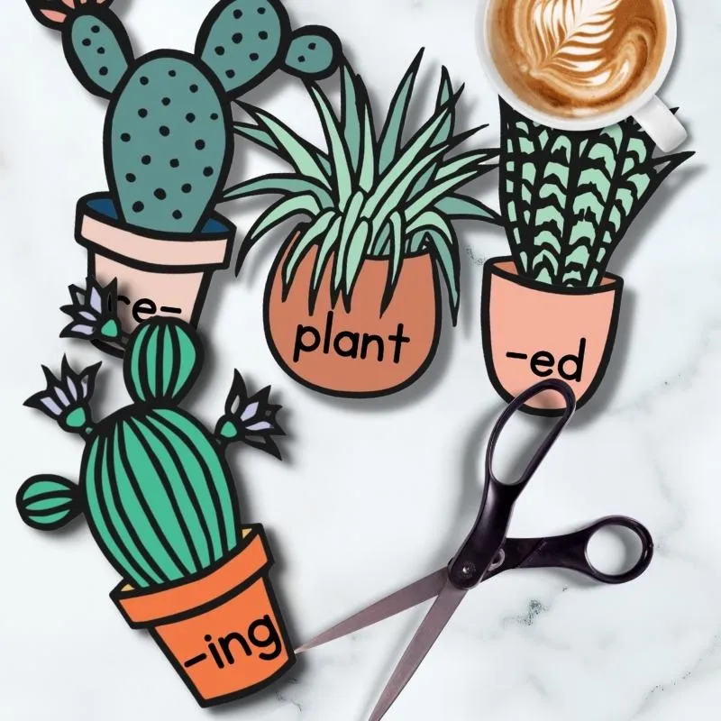 Morphology Succulents