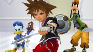 Kingdom Hearts Sora Donald Goofy