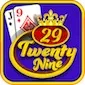 29 card game