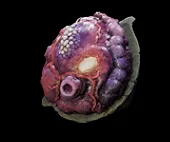 enlarged heart removebg preview