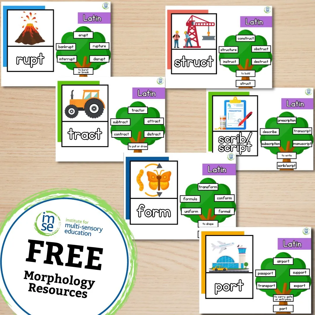 Morphology+ Latin Classroom Posters